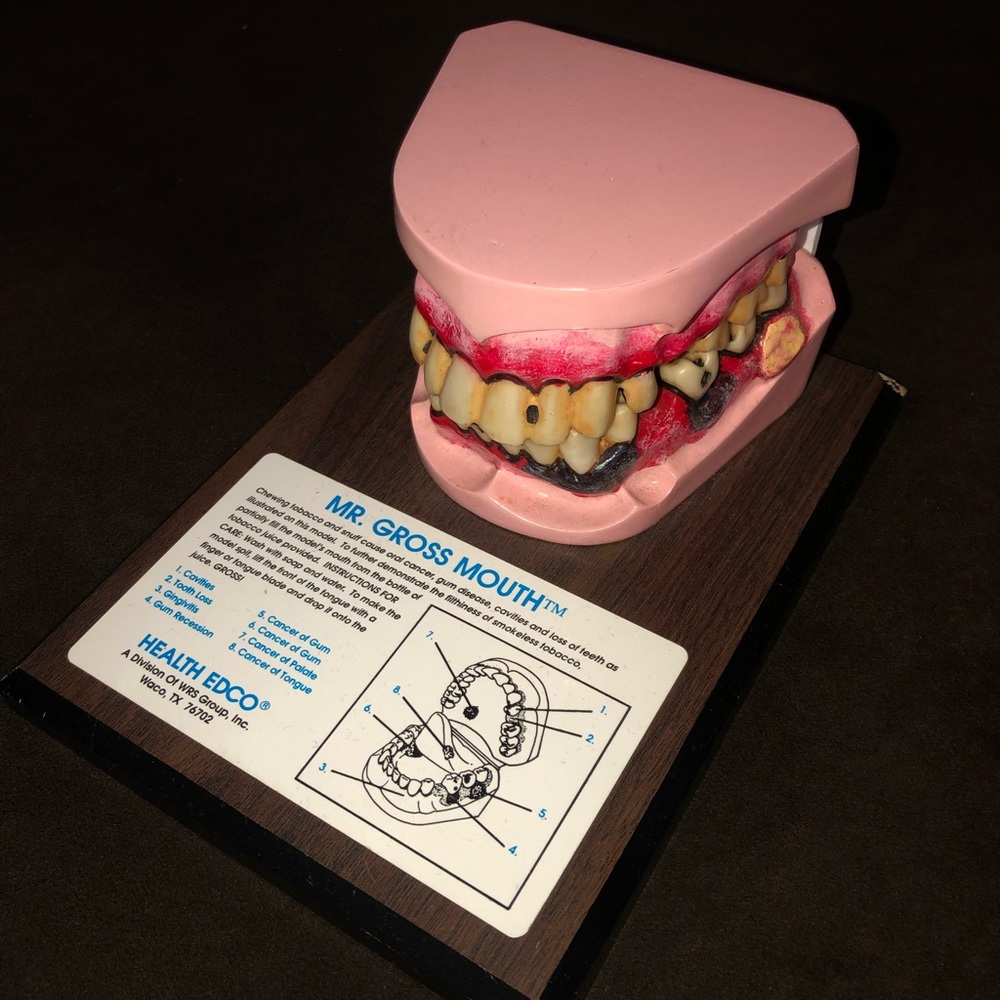 Mr. Gross Mouth Health EDCO Model